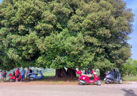 Itinéraire de 5 jours pour visiter la Toscane en Vespa