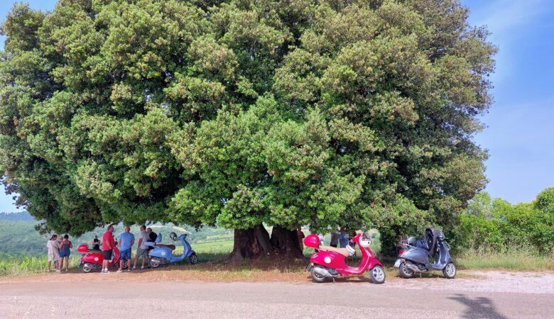 Itinéraire de 5 jours pour visiter la Toscane en Vespa