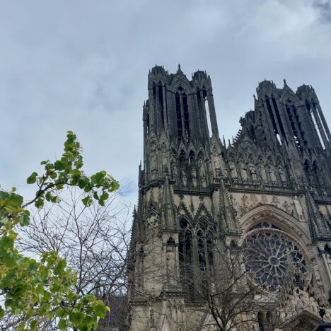 3 idées de balades dans la province du Hainaut