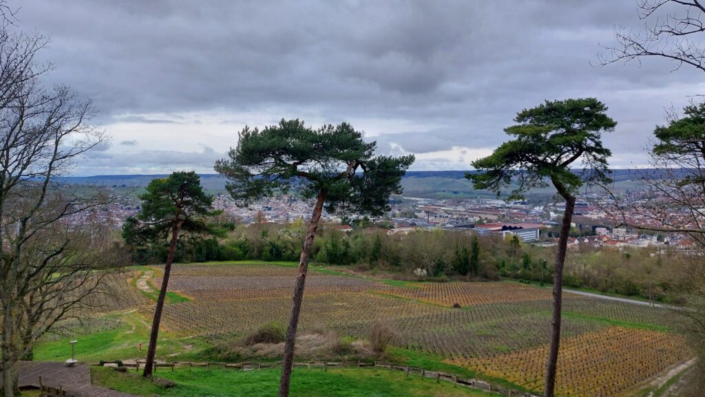 Vue depuis le Mont Bernon