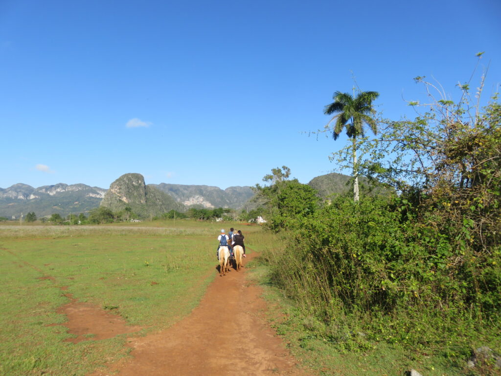 Vallée de vinales 