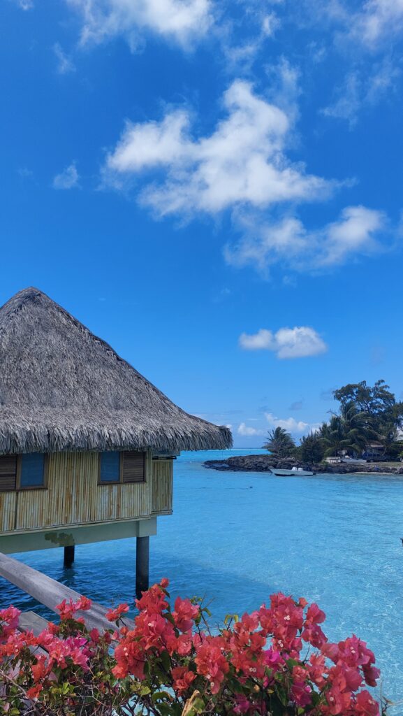 vue de l'extérieur de notre piloti