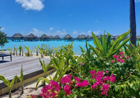 Intercontinental Le Moana Resort