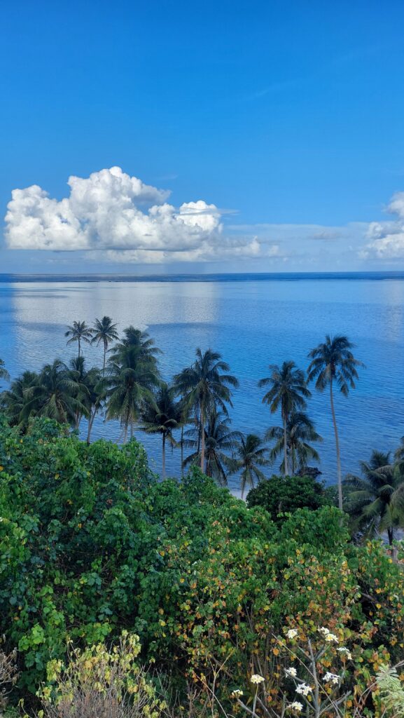 Point de vue Huahine