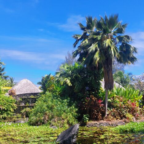 Itinéraire Polynésie française 3 semaines : îles, budget et conseils