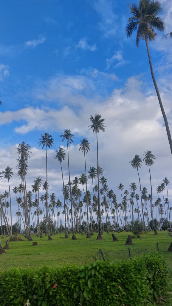 plage de Taharuu à Tahiti
