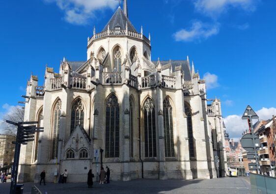 Collégiale Saint Pierre à Louvain