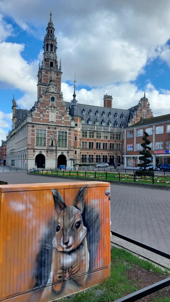 Bibliothèque universitaire