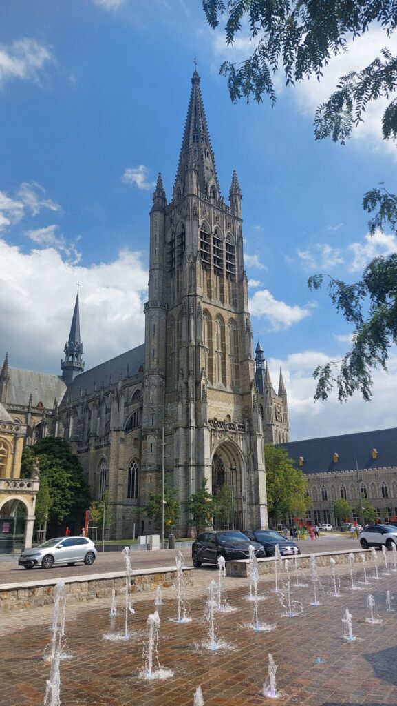cathedrale saint martin
