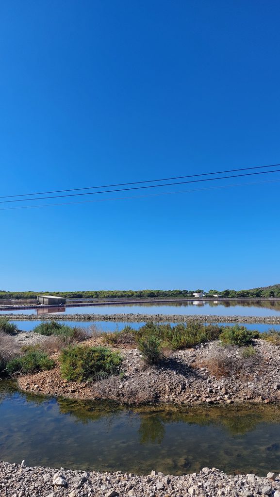 Ses Salines